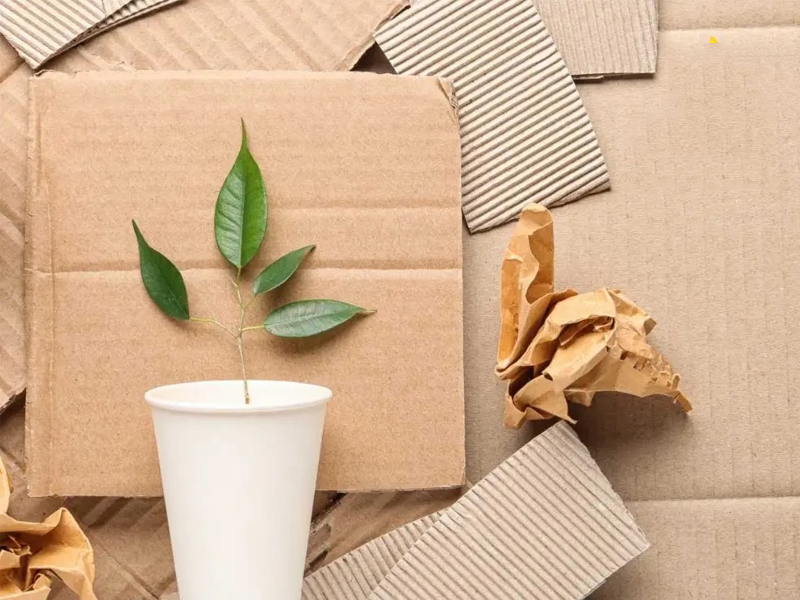 Một vài lưu ý khi làm giấy tái chế tại nhà