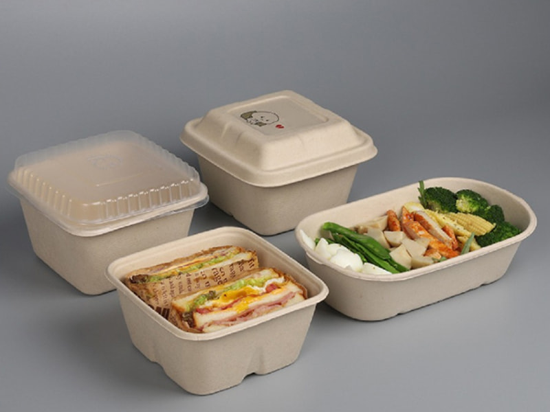 Bao bì bã mía tự hủy