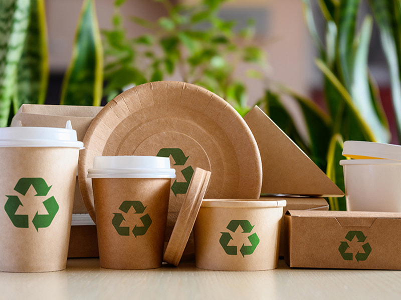 Bao bì giấy tái chế có khả năng phân hủy sinh học