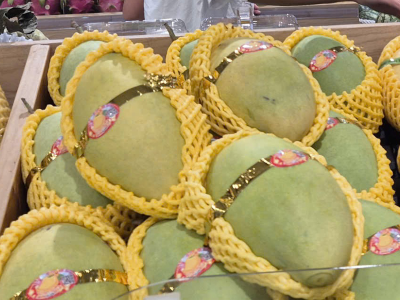 Người tiêu dùng Trung ngày càng ưa chuộng các loại xoài có chất lượng cao