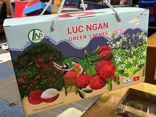 thùng carton đựng vải, thùng giấy carton in offset đựng quả vải, hộp carton đựng vải, hộp giấy carton in offset đựng quả vải