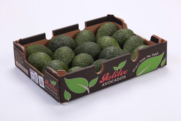 khay carton