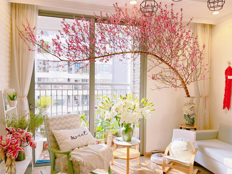Các loại hoa ngày Tết mang lại may mắn, tài lộc cả năm cho gia đình 8 Hoa mang đến vẻ đẹp tươi tắn, rực rỡ cho ngôi nhà