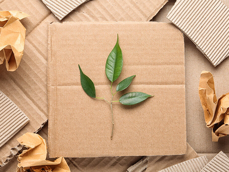 Lý do bao bì xanh dần trở thành xu hướng hiện nay? 9 Mangpebochang được khách hàng đánh giá cao về chất lượng sản phẩm bao bì