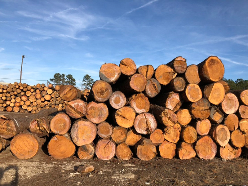 Nguyên liệu chủ yếu làm kệ kê hàng pallet gỗ