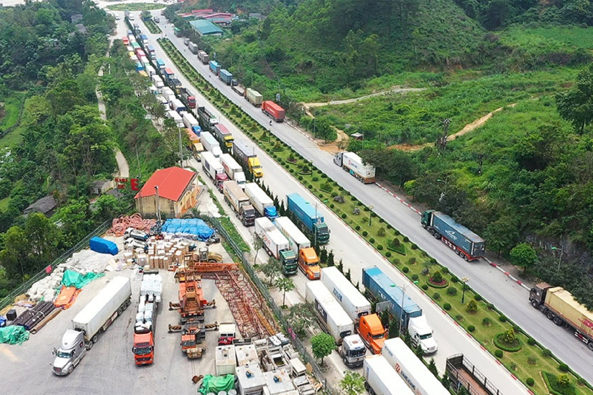 Giải pháp đột phá cho xuất khẩu xoài sang Trung Quốc hiệu quả